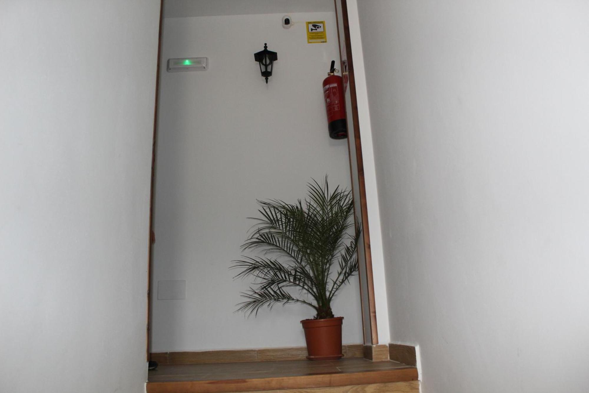 Ferienwohnung Ninfa De La Sierra Riópar Exterior foto